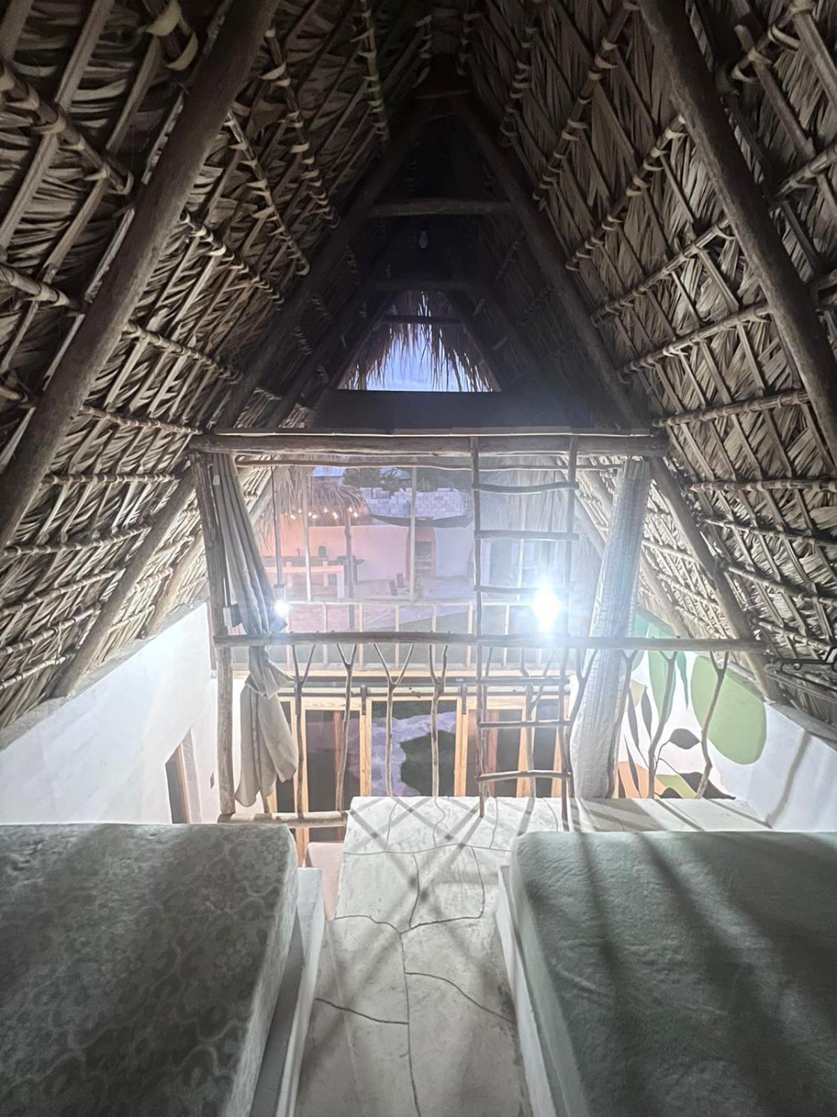 Blue Beach Eco-Hotel By Sanfabini باياهيبي المظهر الخارجي الصورة