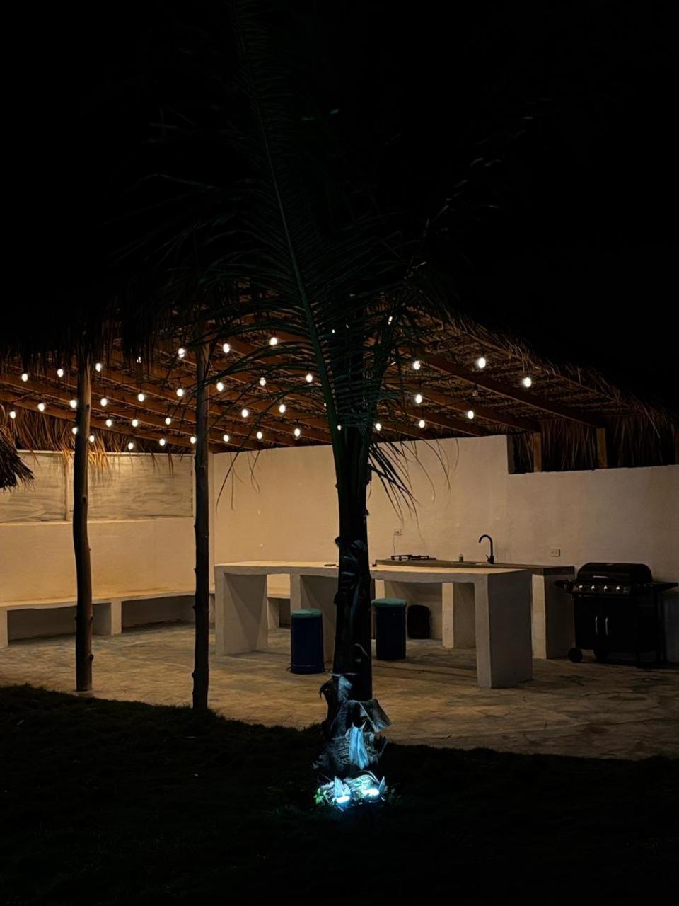 Blue Beach Eco-Hotel By Sanfabini باياهيبي المظهر الخارجي الصورة